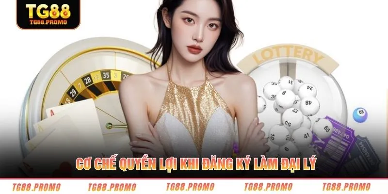 Cơ chế đồng hành và hỗ trợ đại lý lâu dài