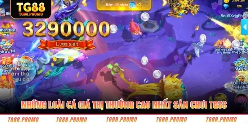 Những loài cá giá trị thưởng cao nhất sân chơi TG88